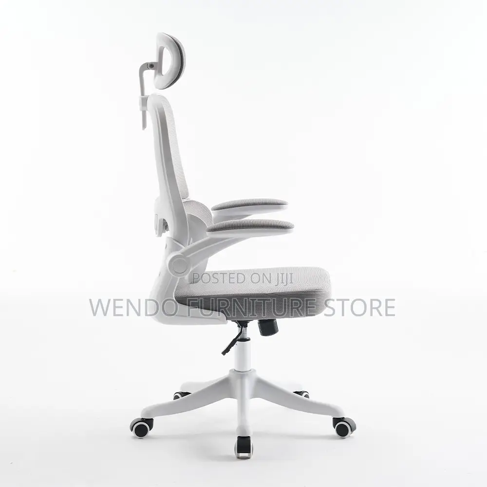 Office Chairs; Orthopedic High Back Lemare Executive Office Chairs
