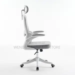 Office Chairs; Orthopedic High Back Lemare Executive Office Chairs