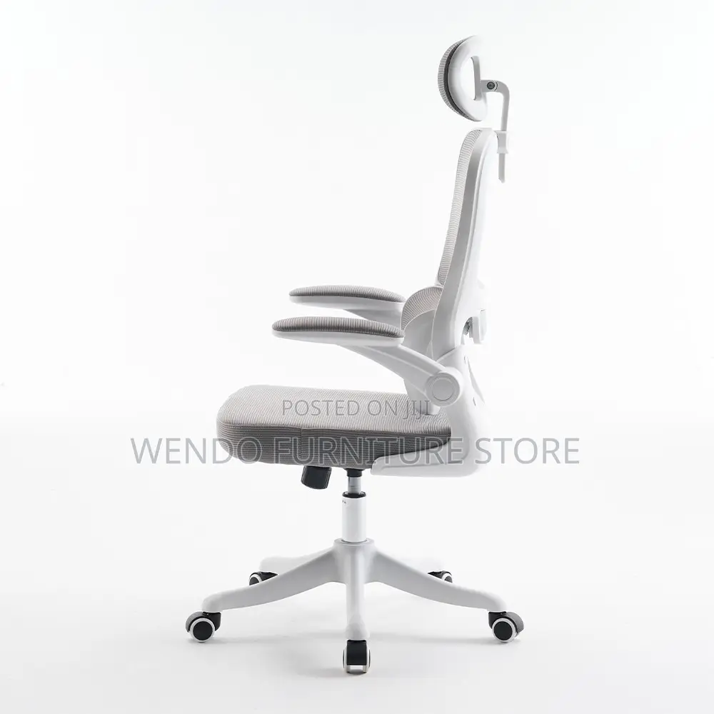 Office Chairs; Orthopedic High Back Lemare Executive Office Chairs