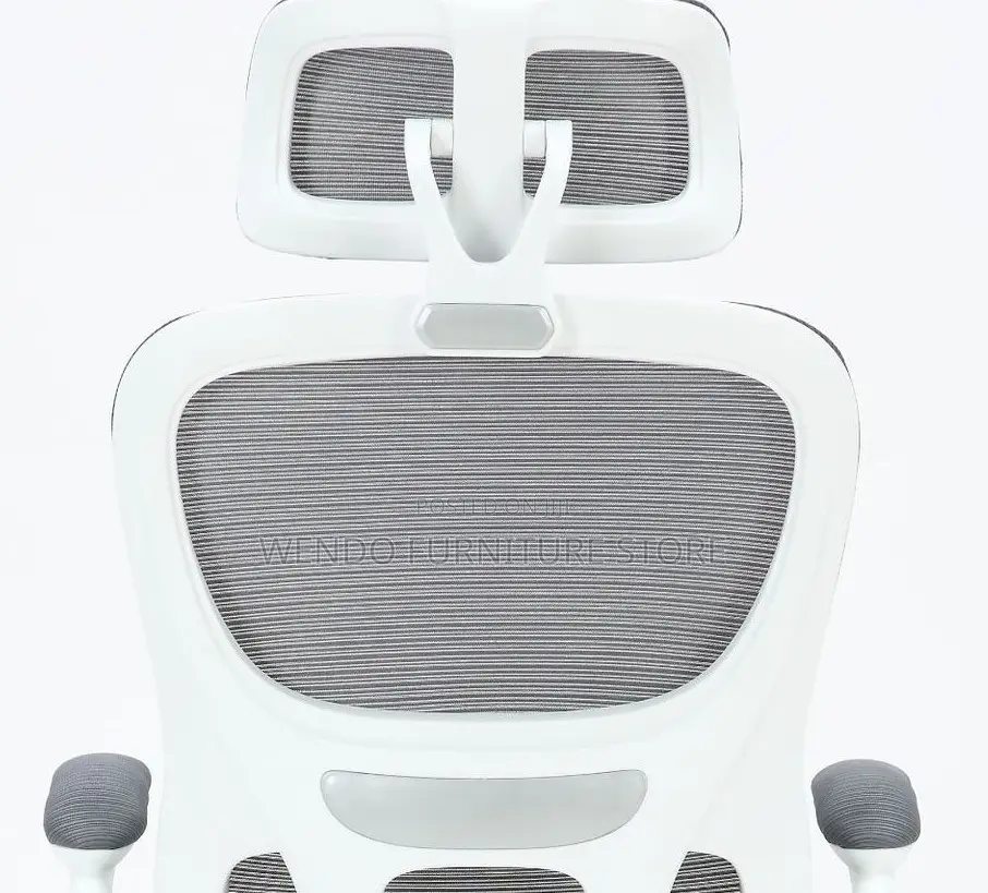 Office Chairs; Orthopedic High Back Lemare Executive Office Chairs