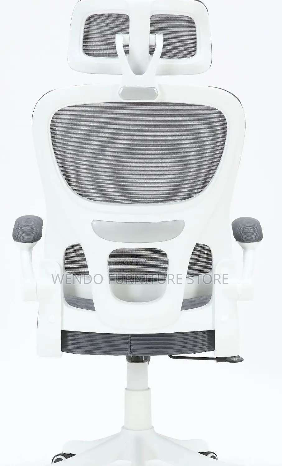 Office Chairs; Orthopedic High Back Lemare Executive Office Chairs