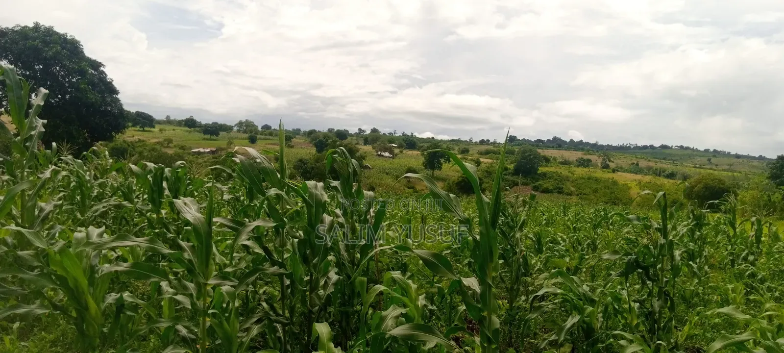 Land on Sale Kwale Count Kundutsi 6,5acre 750 Per Acre