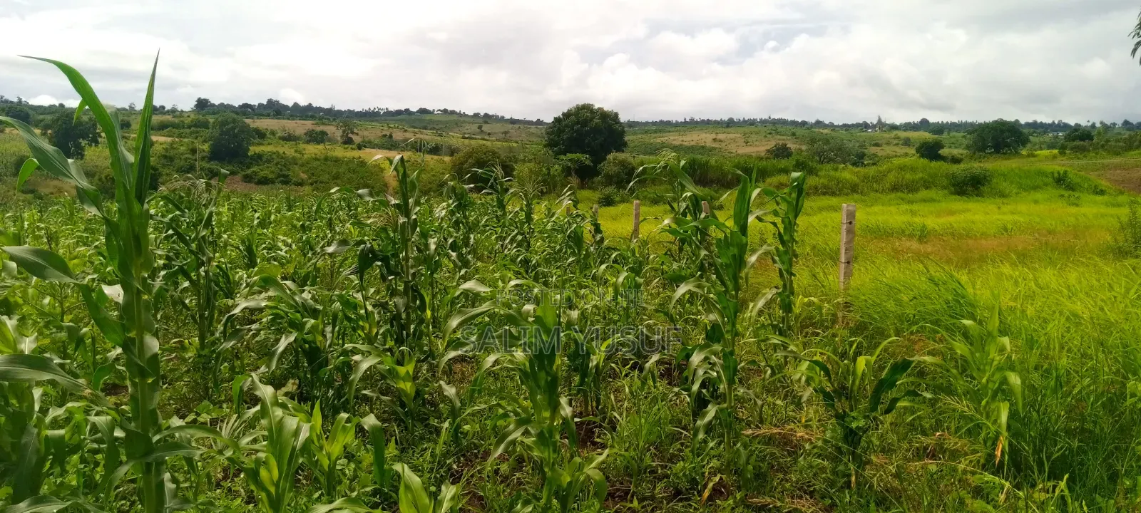 Land on Sale Kwale Count Kundutsi 6,5acre 750 Per Acre