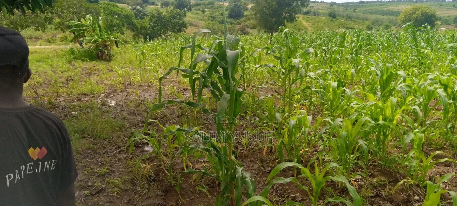 Land on Sale Kwale Count Kundutsi 6,5acre 750 Per Acre