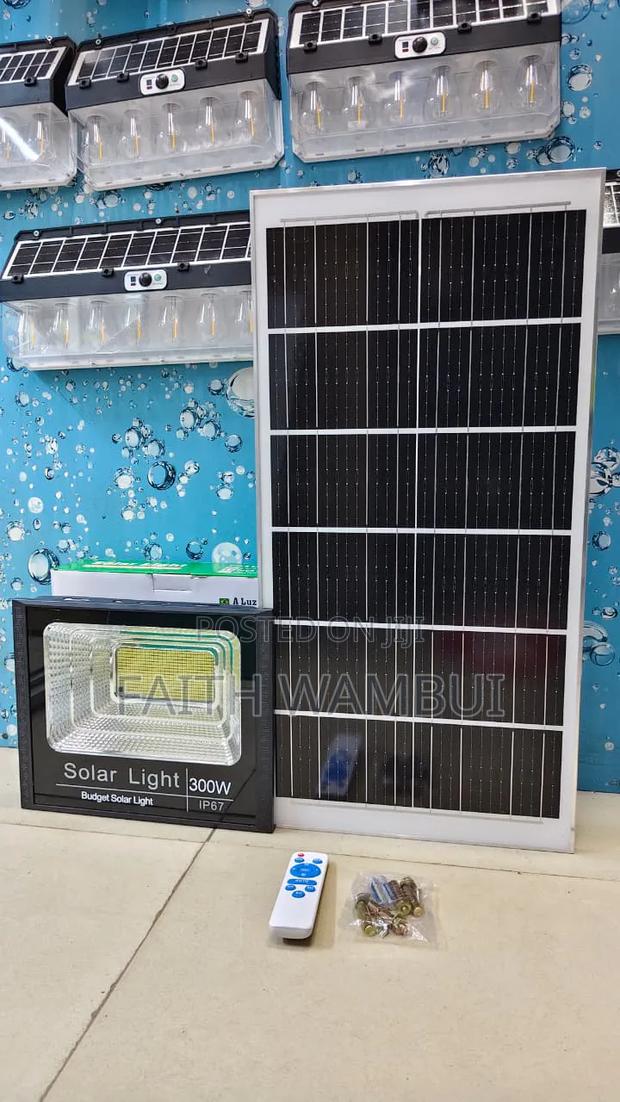 New Arrival Pocket Friendly 300 Watts Solar Floodlight - main view