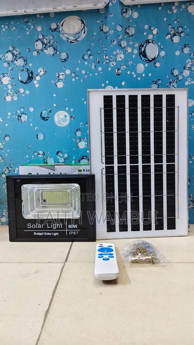 60 Watts Original Solar Panel With Floodlight - main view