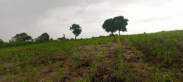 Land on Sale Kundutsi Kwale Count 17acre 1m Per Acre