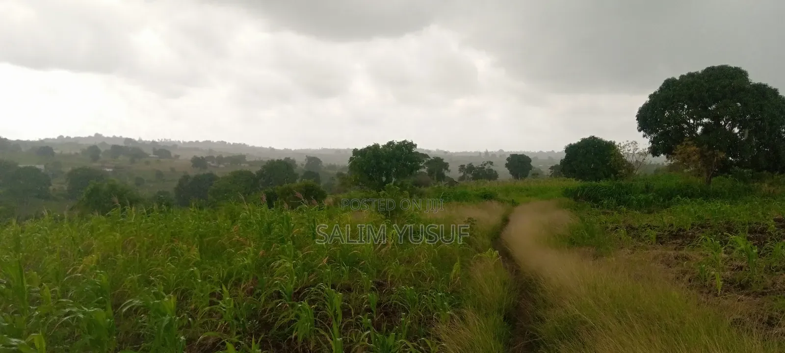Land on Sale Kundutsi Kwale Count 17acre 1m Per Acre
