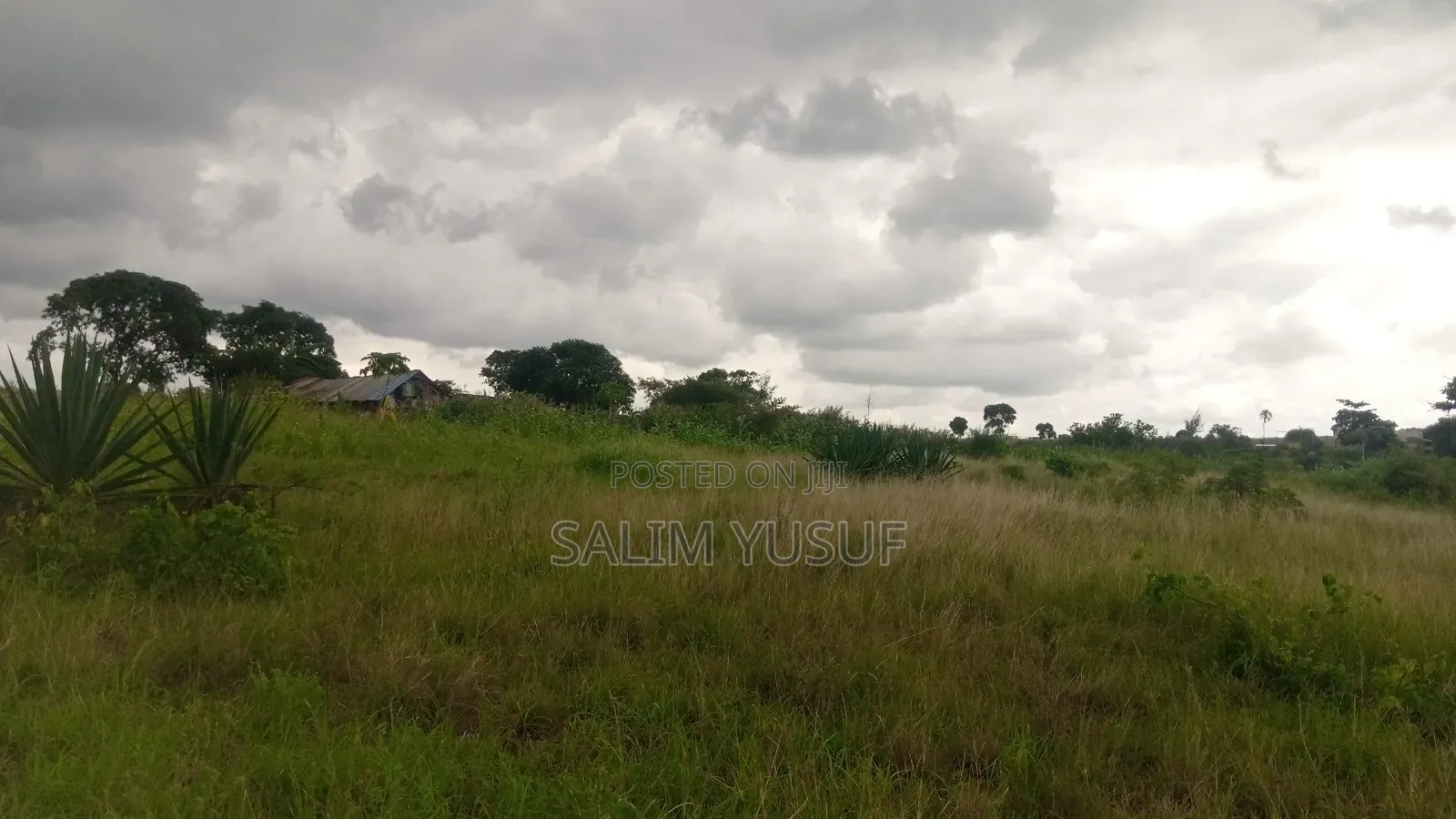 Land on Sale Kundutsi Kwale Count 17acre 1m Per Acre