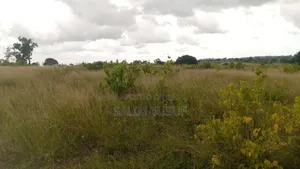 Land on Sale Kundutsi Kwale Count 17acre 1m Per Acre