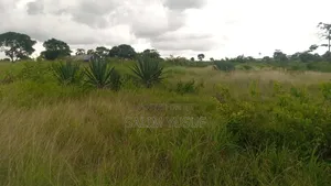 Land on Sale Kundutsi Kwale Count 17acre 1m Per Acre