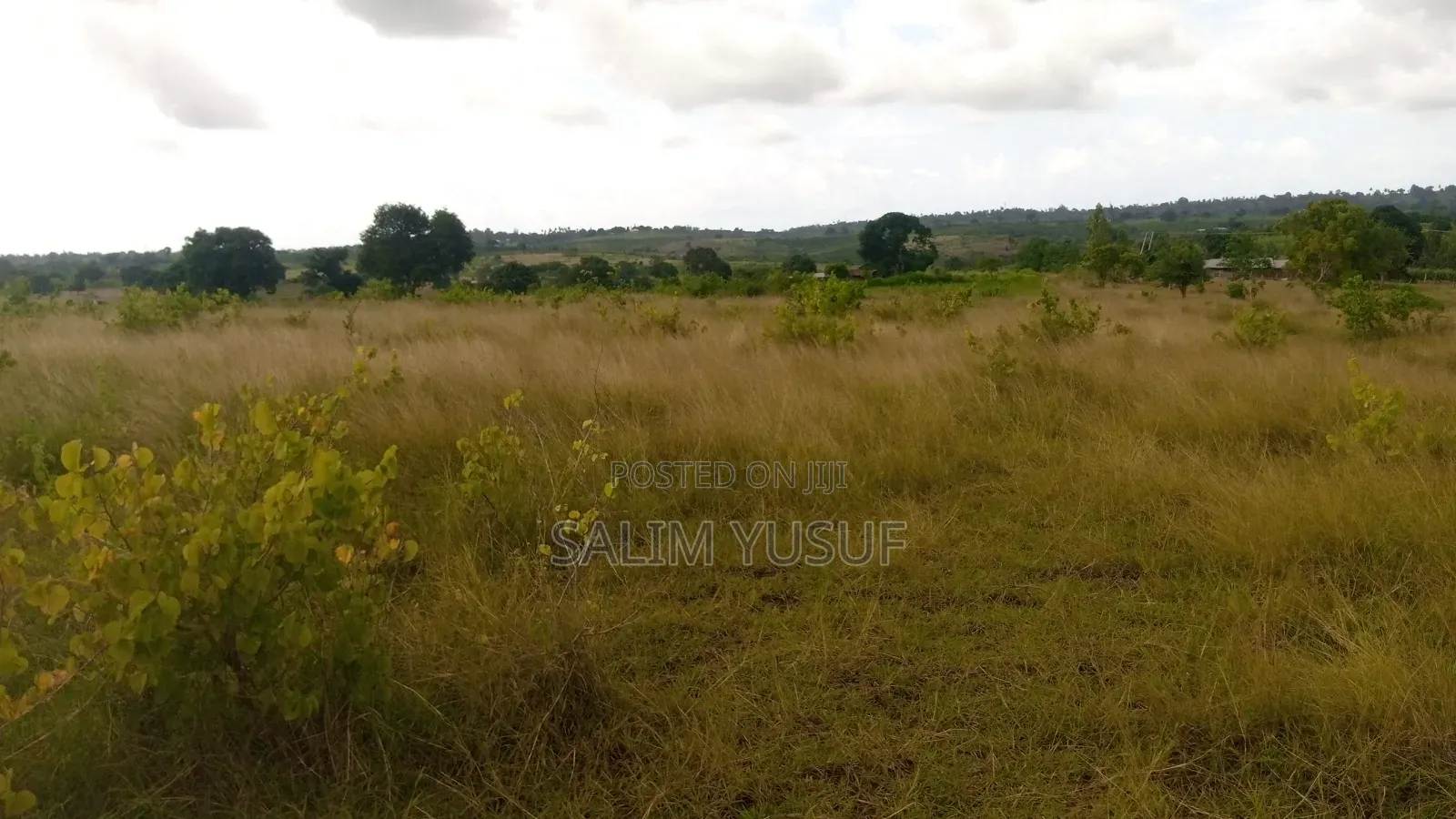 Land on Sale Kundutsi Kwale Count 17acre 1m Per Acre