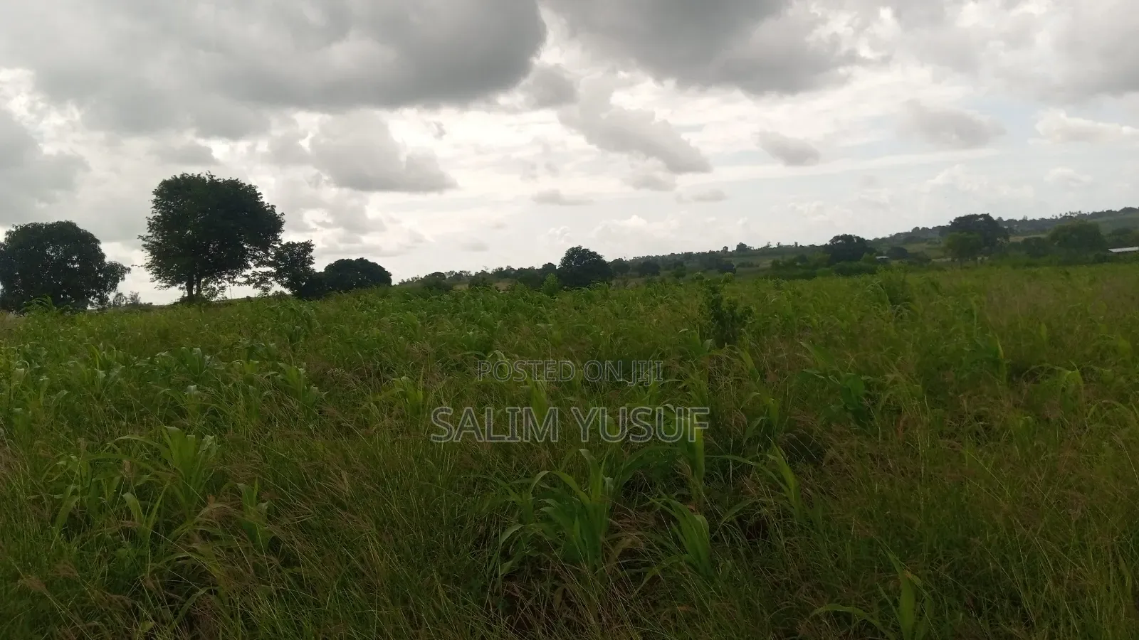 Land on Sale Kundutsi Kwale Count 17acre 1m Per Acre