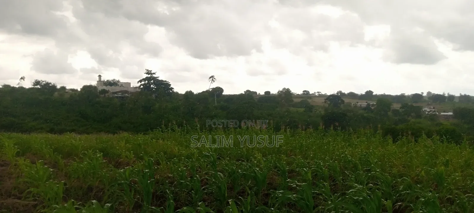 Land on Sale Kundutsi Kwale Count 17acre 1m Per Acre