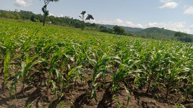 Land Ok Sale 28aces Kwale Kundutsi 1m Per Acre