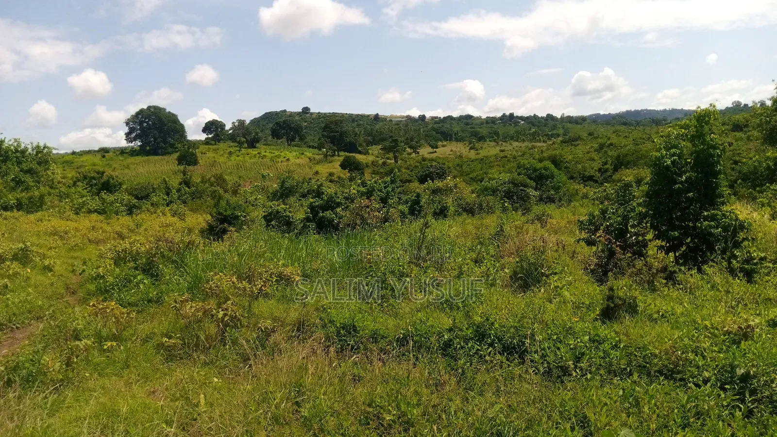 Land Ok Sale 28aces Kwale Kundutsi 1m Per Acre