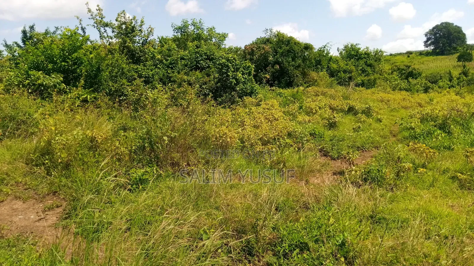 Land Ok Sale 28aces Kwale Kundutsi 1m Per Acre
