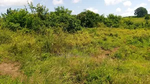 Land Ok Sale 28aces Kwale Kundutsi 1m Per Acre