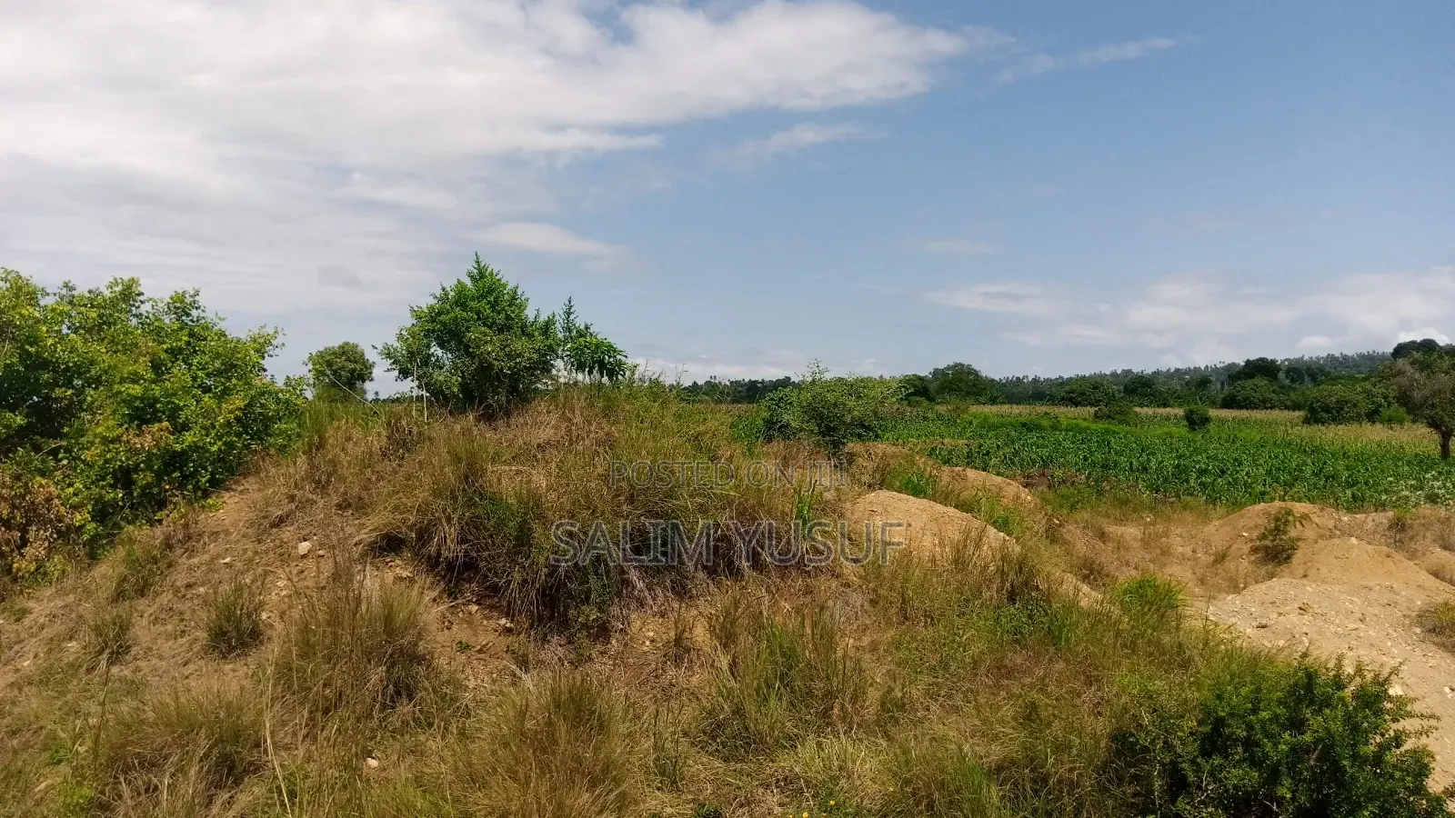 Land Ok Sale 28aces Kwale Kundutsi 1m Per Acre