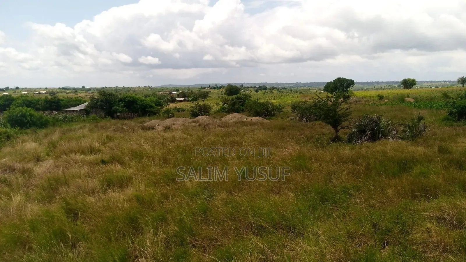 Land Ok Sale 28aces Kwale Kundutsi 1m Per Acre