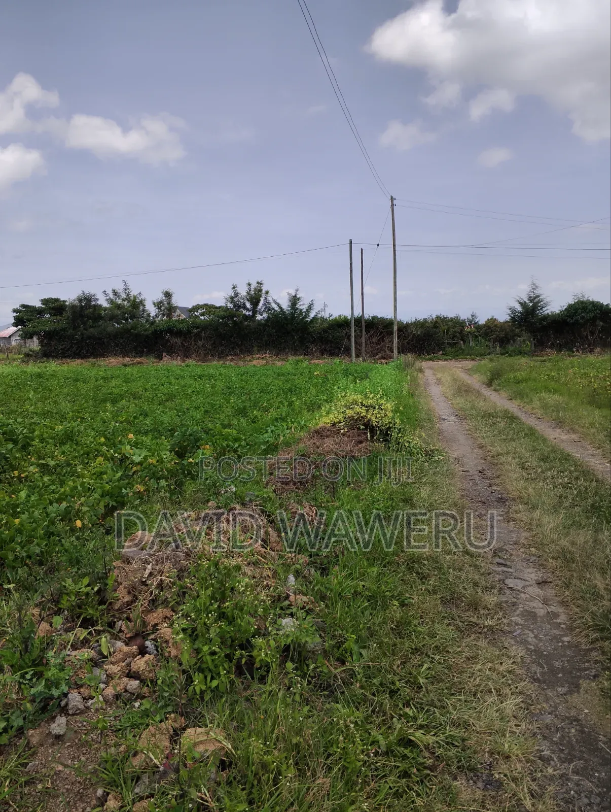 Plots In Nakuru,Nyandarua N Rumuruti