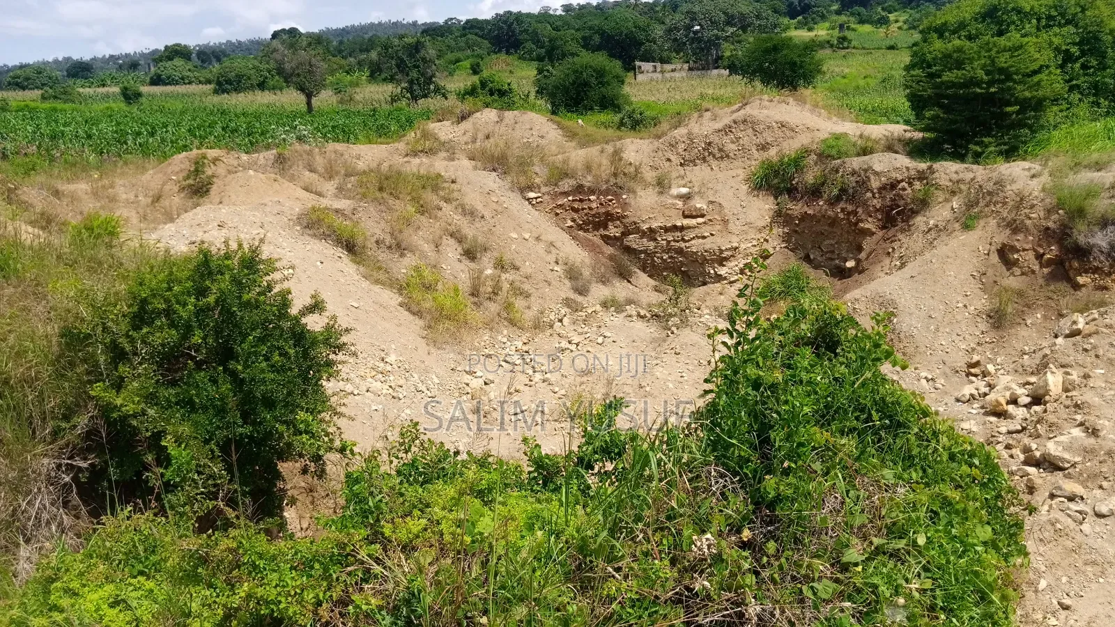 Land Ok Sale 28aces Kwale Kundutsi 1m Per Acre