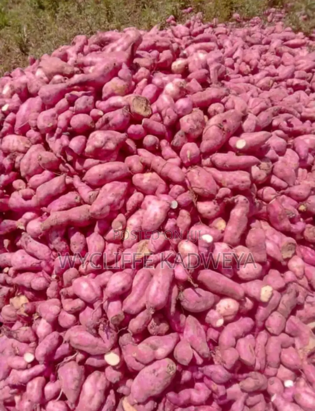 Sweet Potatoes