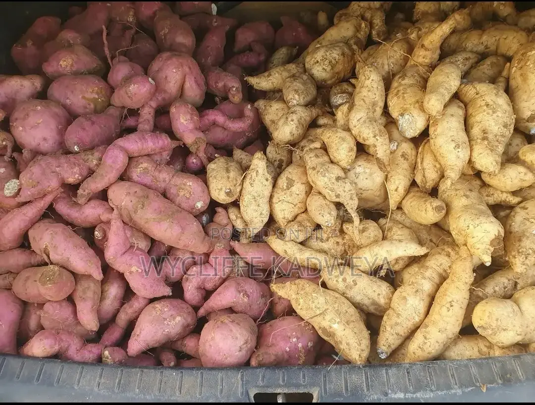 Sweet Potatoes