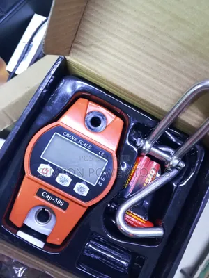 Digital Crane Scale 300kg