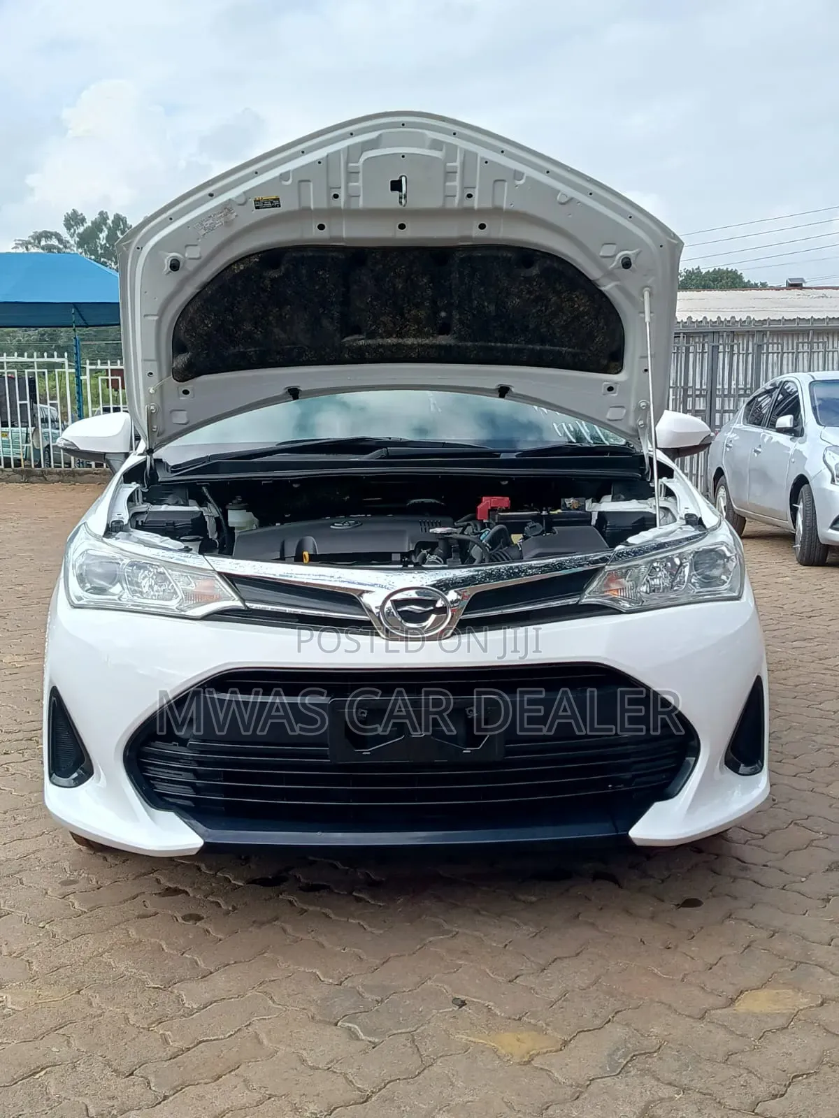 Toyota Corolla Fielder 2019 White