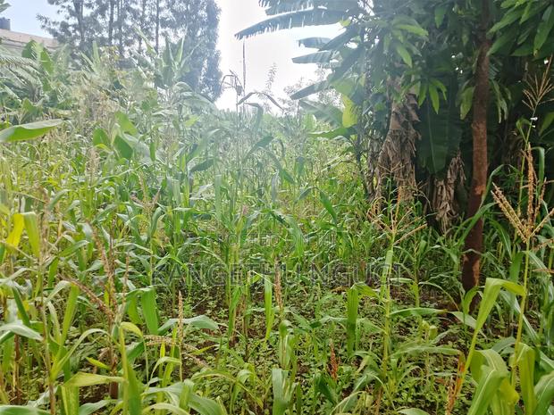 100x 100 Plot Plot at Upper Kihingo, Kiambu Town - thumbnail 2