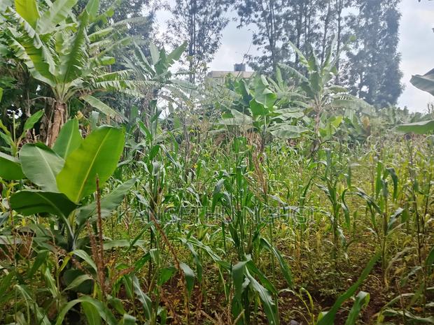100x 100 Plot Plot at Upper Kihingo, Kiambu Town - thumbnail 3