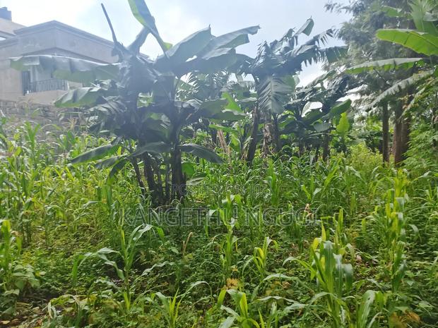100x 100 Plot Plot at Upper Kihingo, Kiambu Town - thumbnail 7
