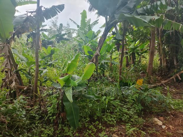 100x 100 Plot Plot at Upper Kihingo, Kiambu Town - thumbnail 8