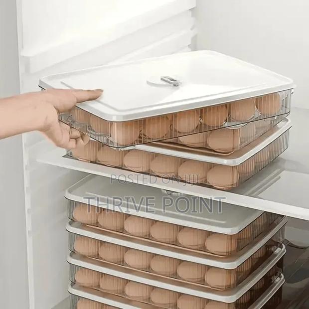 34pc Egg Tray Storage Container With Lid - thumbnail 2