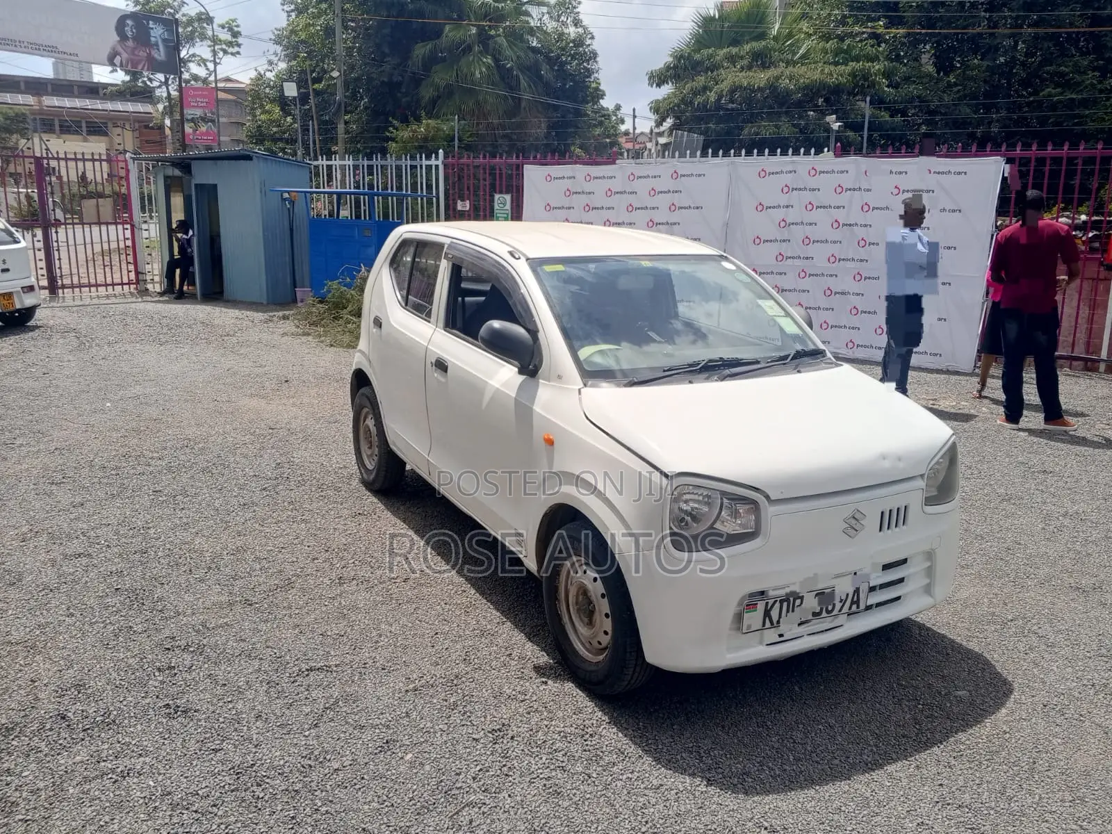 Suzuki Alto 2016 White