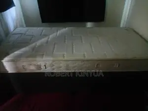 Orthopedic Spring Box Bed