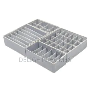 4in 1 Under Garment Organizer_arv