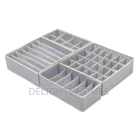 4in 1 Under Garment Organizer_arv