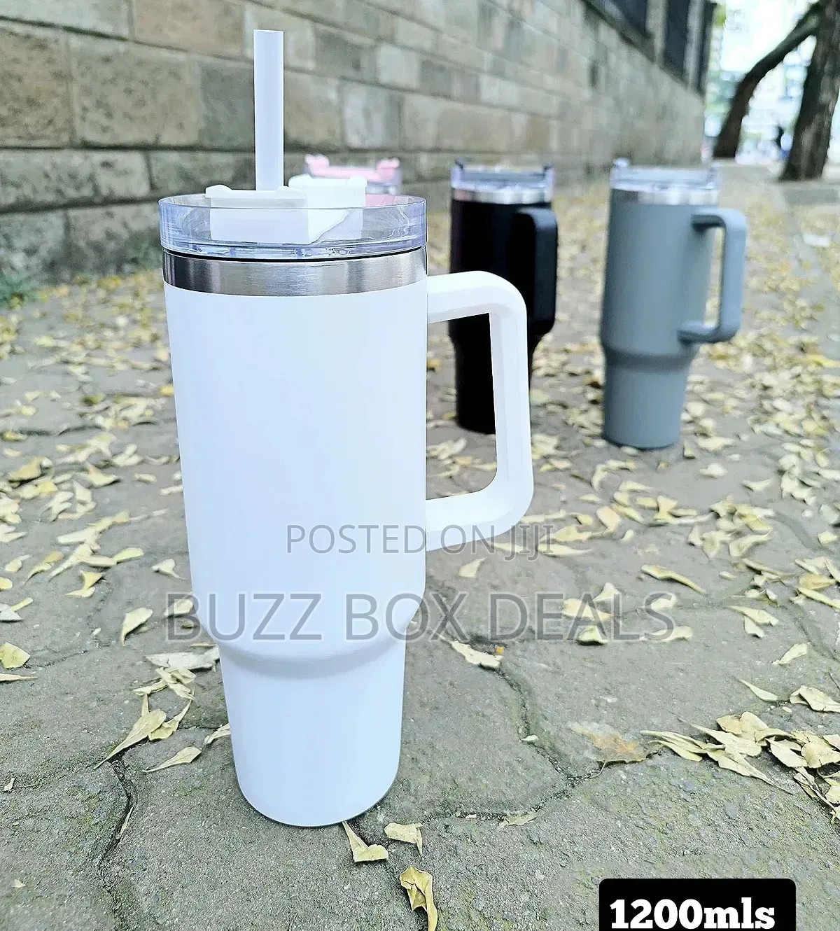 Stanley Mugs