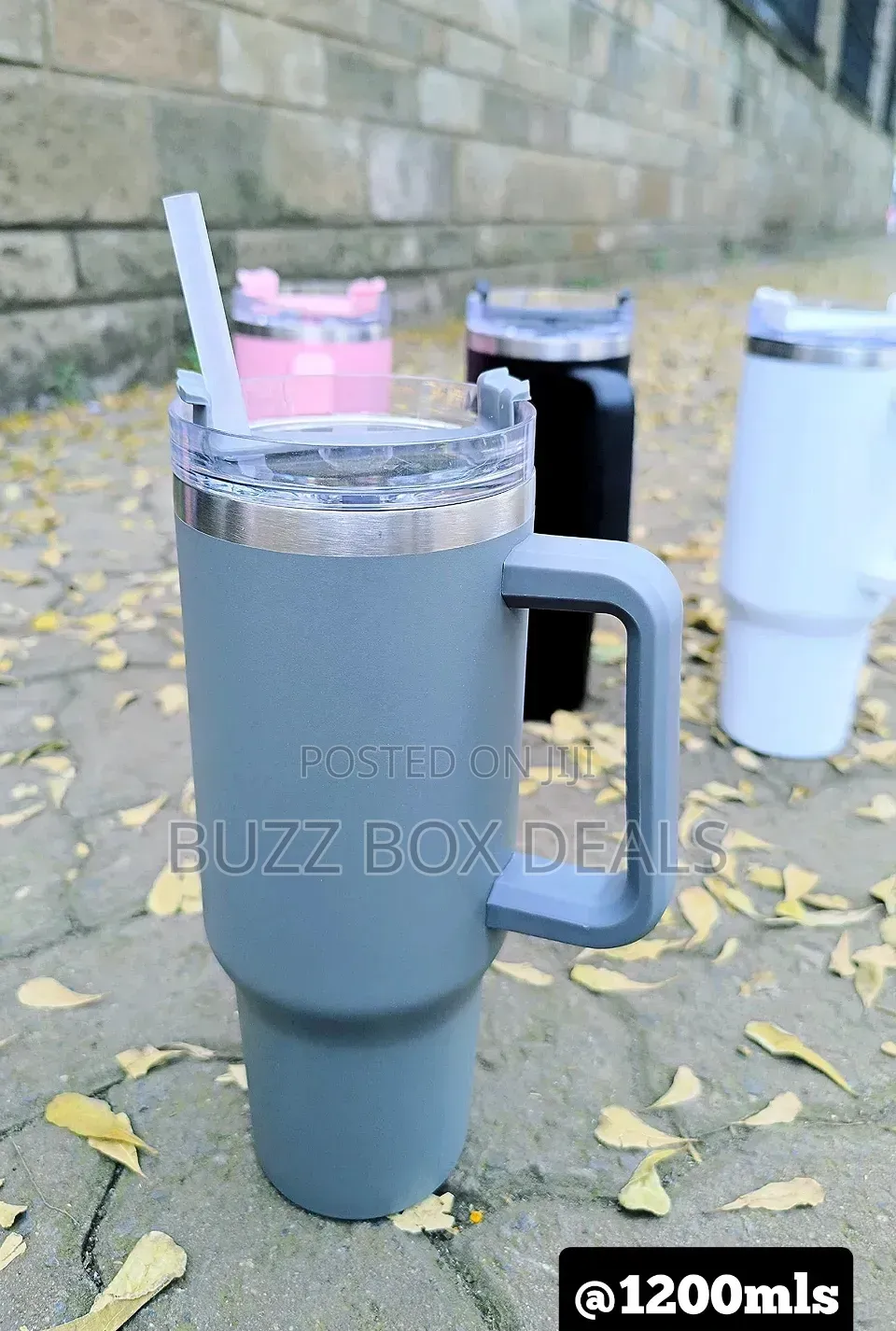 Stanley Mugs
