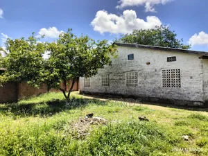 Konamsa Diani Prime Property on a Quarter Acre