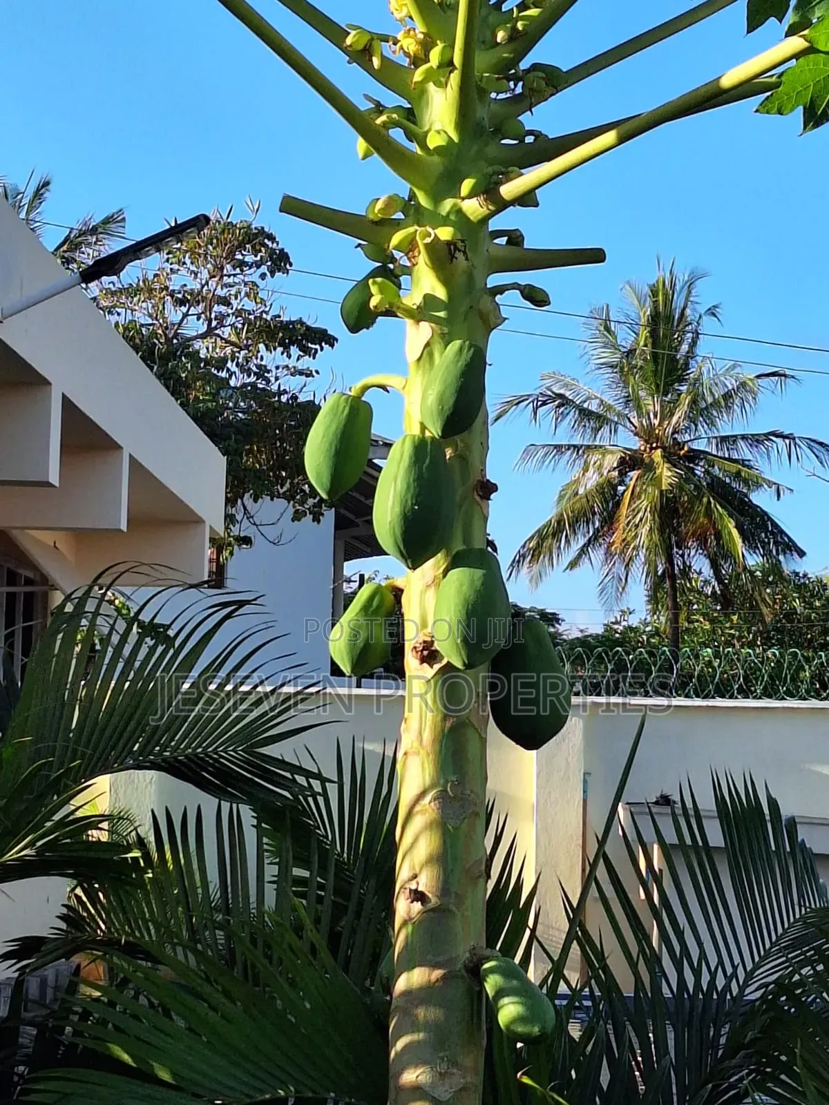 4bdrm Villa in Diani for sale