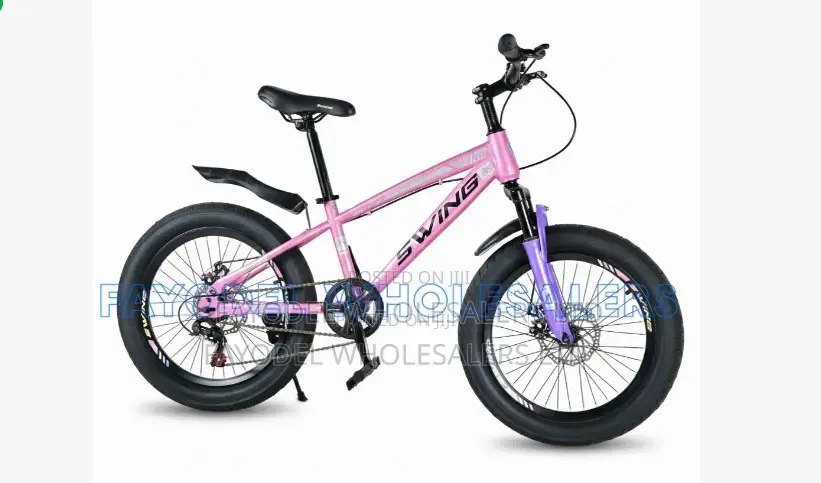 Swing Kids Bike Size 20 – Fat Wheel Bicycle for Boys Girls