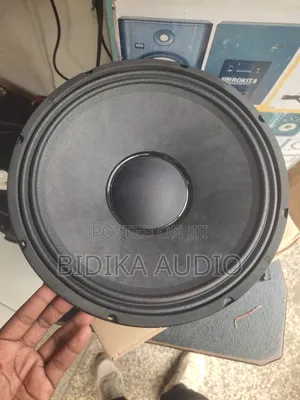 Bm Audio 12bm-2 12" 300w Professional Midrange/Woofer Naked Speaker