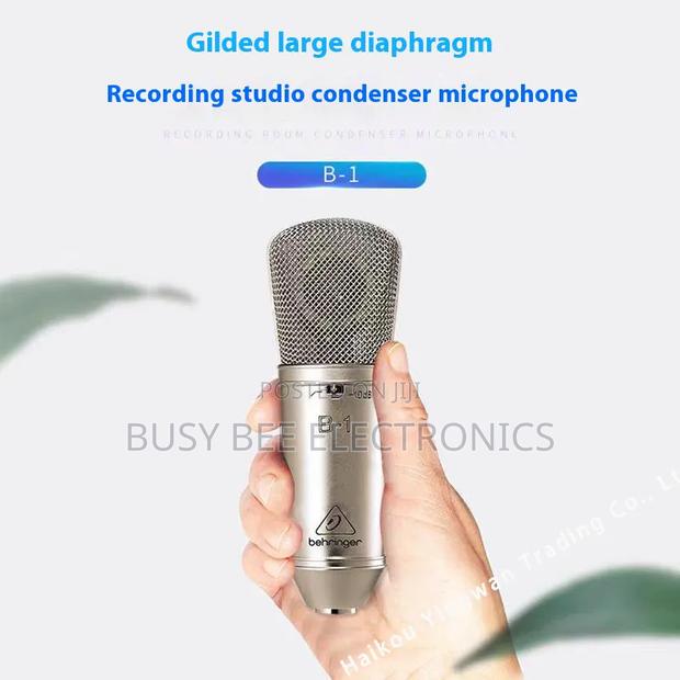 Behringer B-1 Gold-Sputtered Large-Diaphragm Condenser Microphone - thumbnail 2