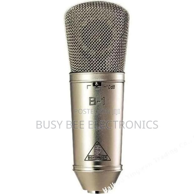Behringer B-1 Gold-Sputtered Large-Diaphragm Condenser Microphone - thumbnail 5