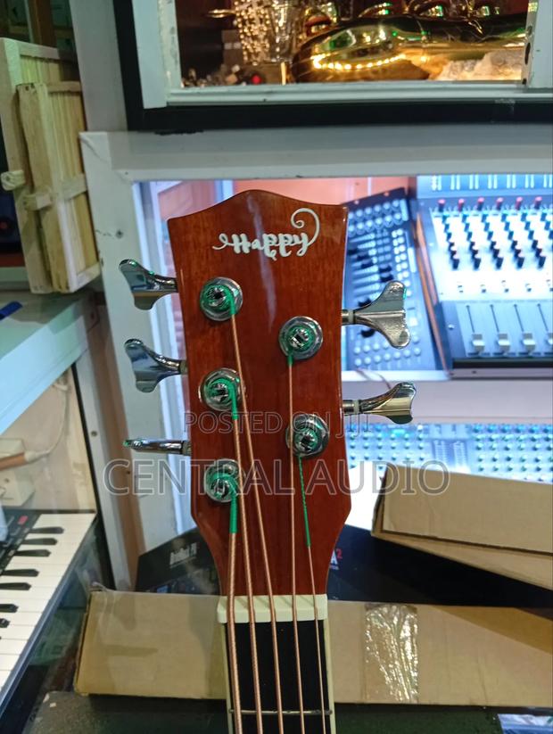 5string Semi Acoustic Bass Guitar - thumbnail 4