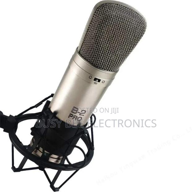 Behringer B-2 Pro Steam Gold Multi Point Condenser Microphone