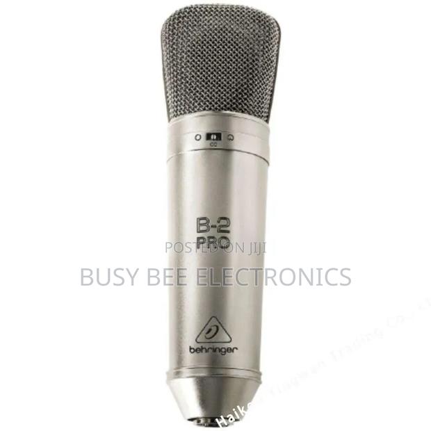 Behringer B-2 Pro Steam Gold Multi Point Condenser Microphone - thumbnail 2